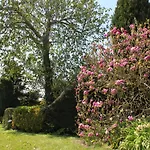 Bed & Breakfast Elbahof, Goed En Goedkoop! Hem
