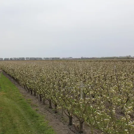 Bed & Breakfast Elbahof, Goed En Goedkoop! *