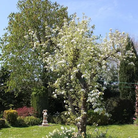 Elbahof, Goed En Goedkoop! Bed and breakfast