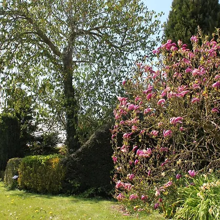 Bed & Breakfast Elbahof, Goed En Goedkoop! Hem