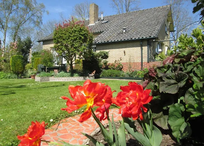 Elbahof, Goed En Goedkoop! *