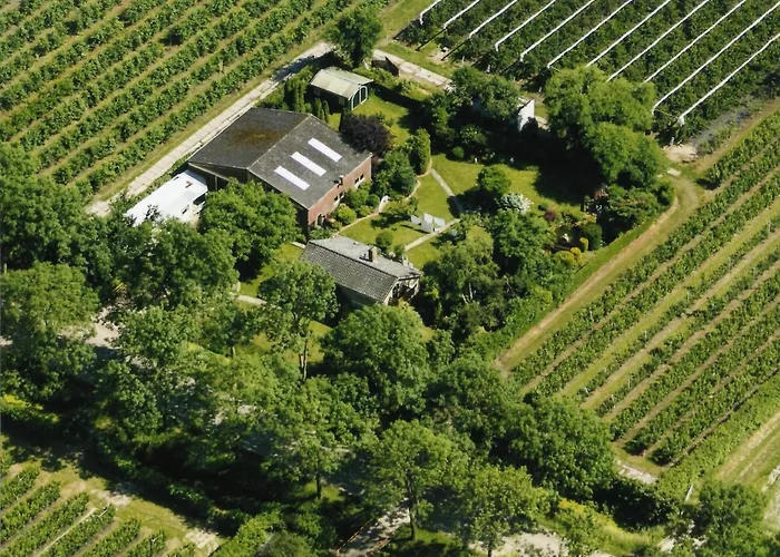 Bed & Breakfast Elbahof, Goed En Goedkoop! *