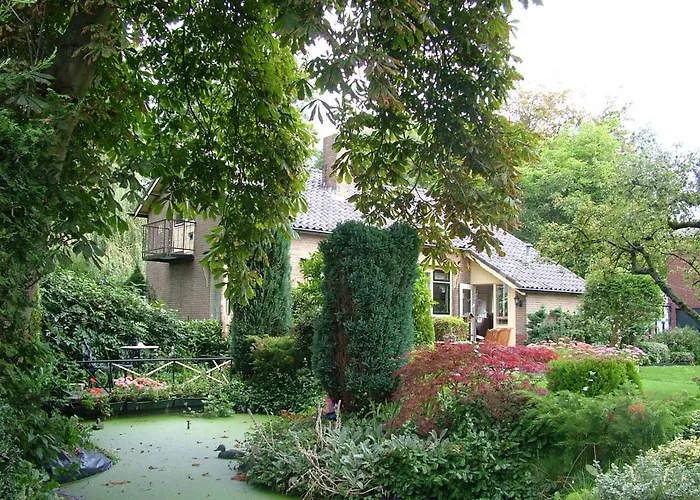 Bed & Breakfast Elbahof, Goed En Goedkoop! *