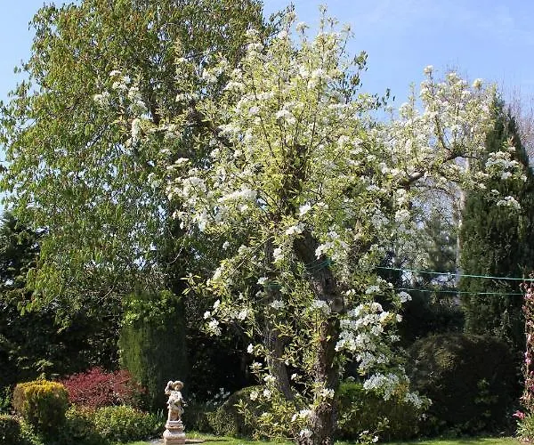 Elbahof, Goed En Goedkoop! Bed & Breakfast